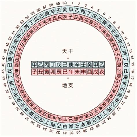 辛亥五行|天干地支五行对照表